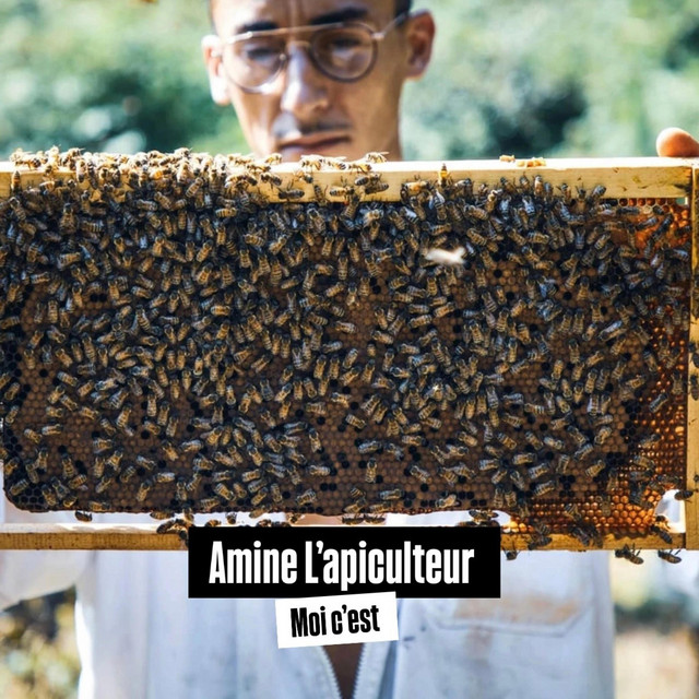 Amine l'apiculteur