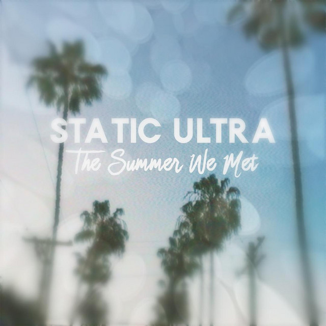The Summer We Met