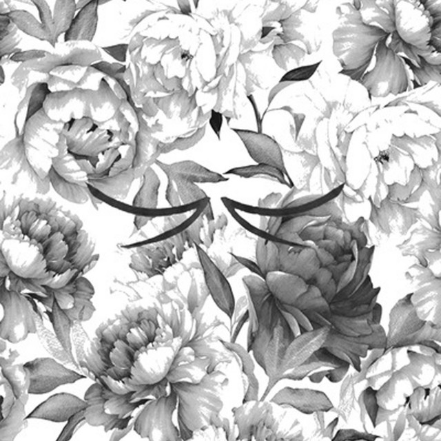 Leviticus cover art