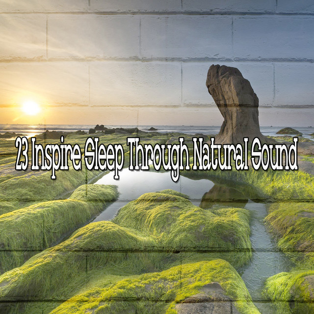 23 Inspire Sleep Through Natural Sound - Album by Forest Sounds | Spotify