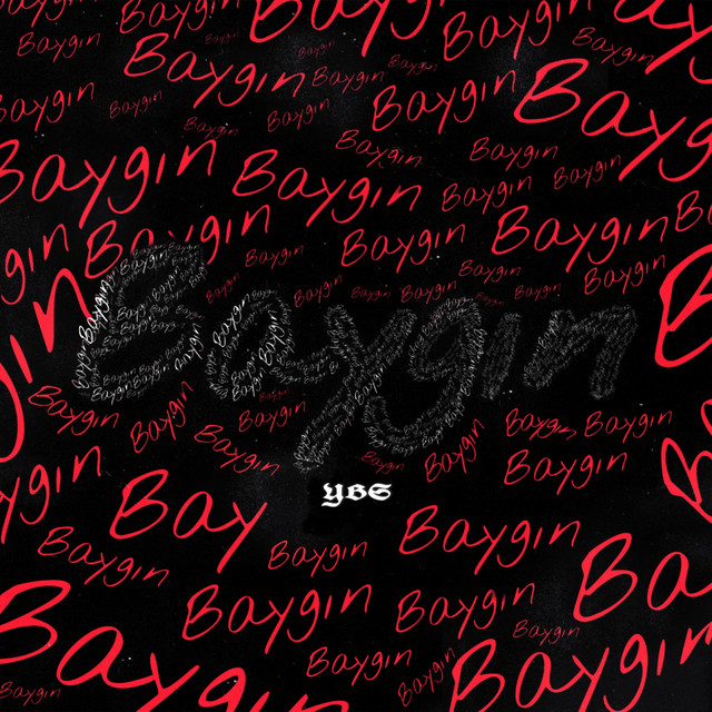 Baygın cover art