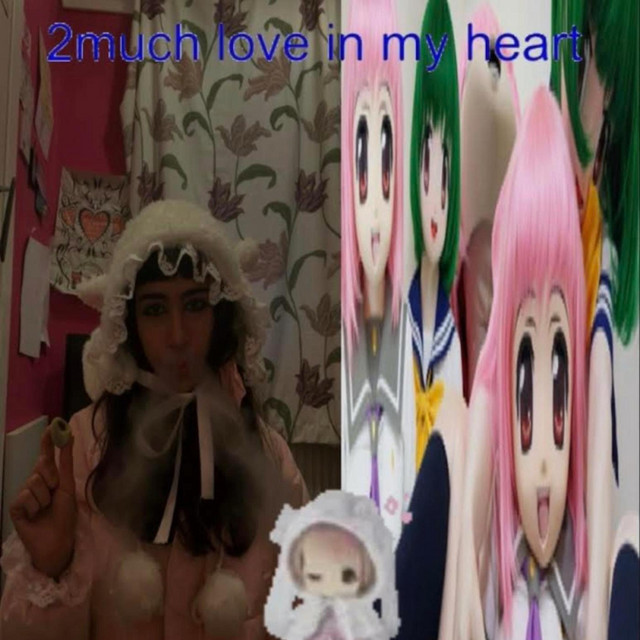 2much love in my heart cover art
