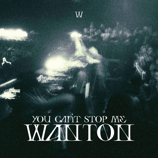 You can't stop me cover art