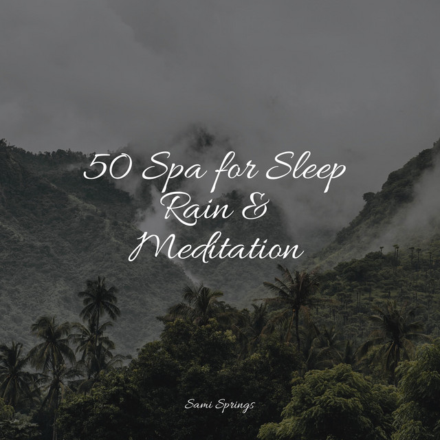 50 Spa for Sleep Rain & Meditation - Album by Relaxing Mindfulness ...