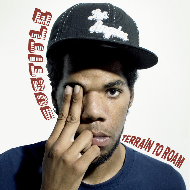 Terrain To Roam cover art