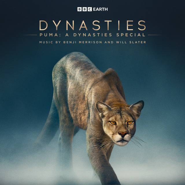 Puma: A Dynasties Special (Original Television Soundtrack) cover art