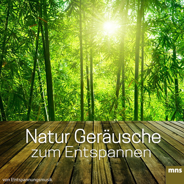 Natur Geräusche zum Entspannen cover art