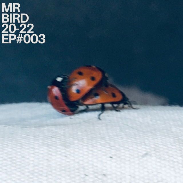Bird Beats 20-22 #EP003 cover art