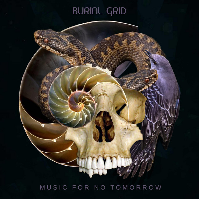 Music For No Tomorrow cover art