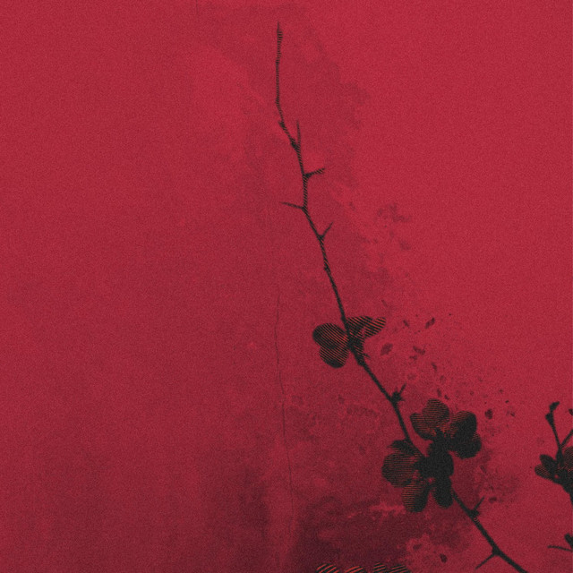Lie To Me by Love Letter
