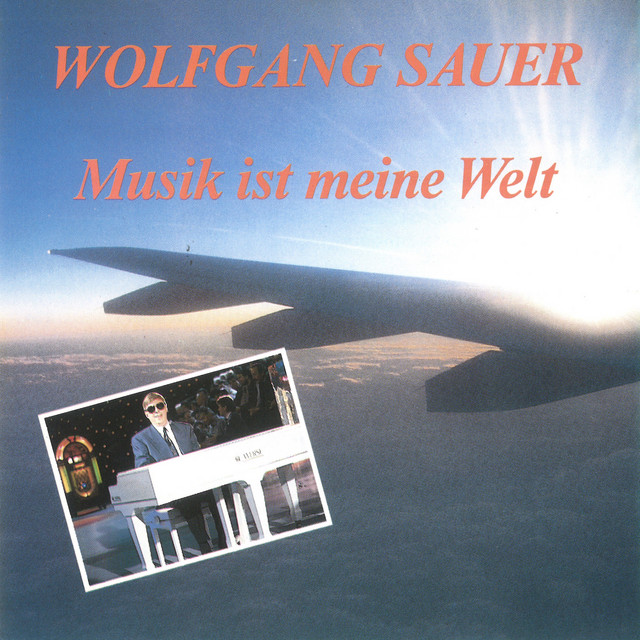Musik ist meine Welt cover