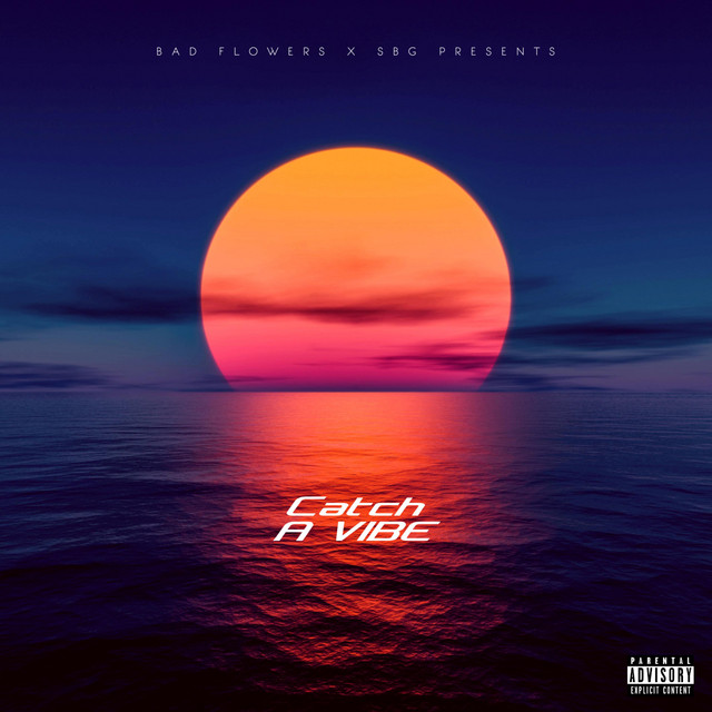 Catch A Vibe cover art