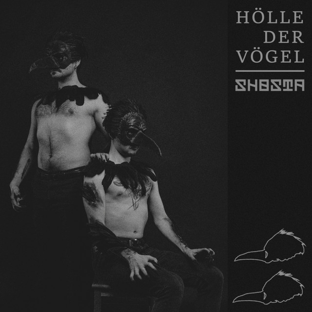 Hölle der Vögel cover
