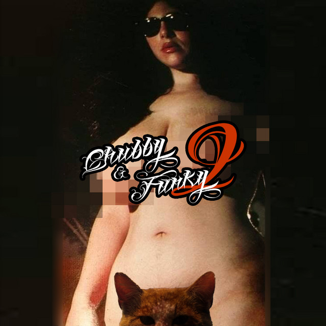 Chubby&Funky II cover art