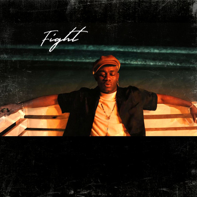 Fight cover art