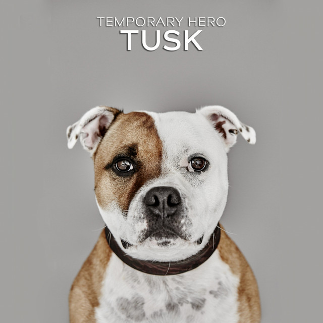 TUSK cover art