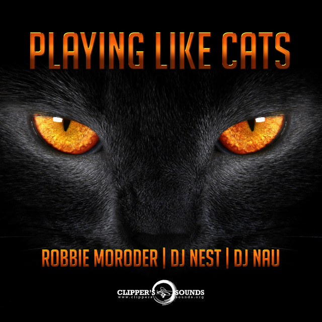 Playing Like Cats cover art