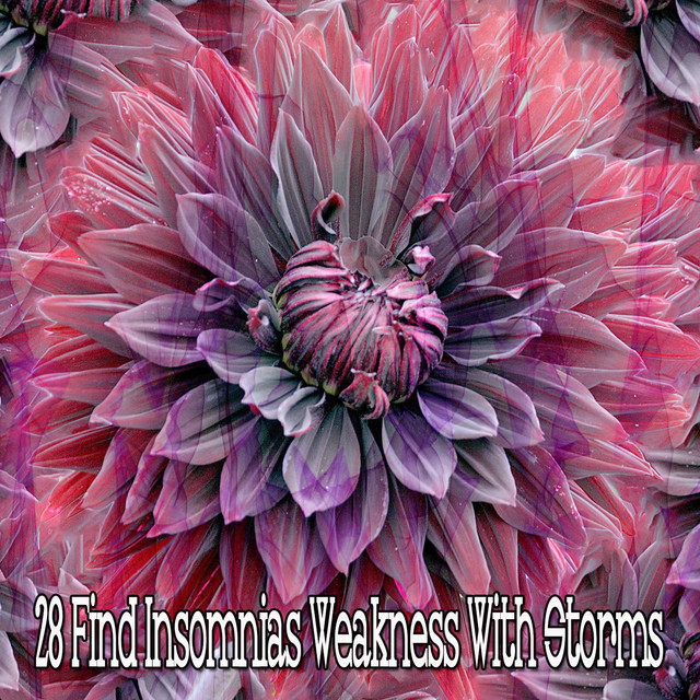 28 Find Insomnias Weakness With Storms cover art