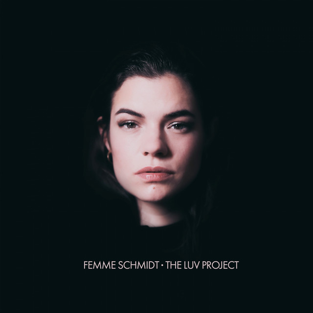 The Luv Project cover art