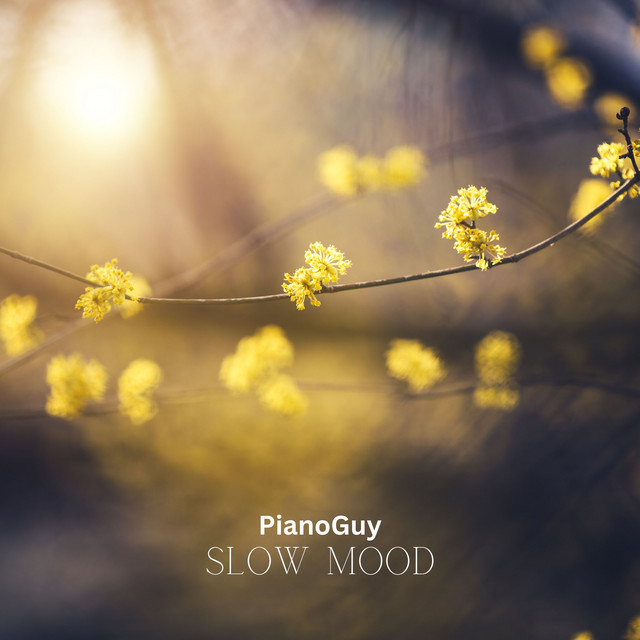 Обкладинка: Slow Mood — PianoGuy