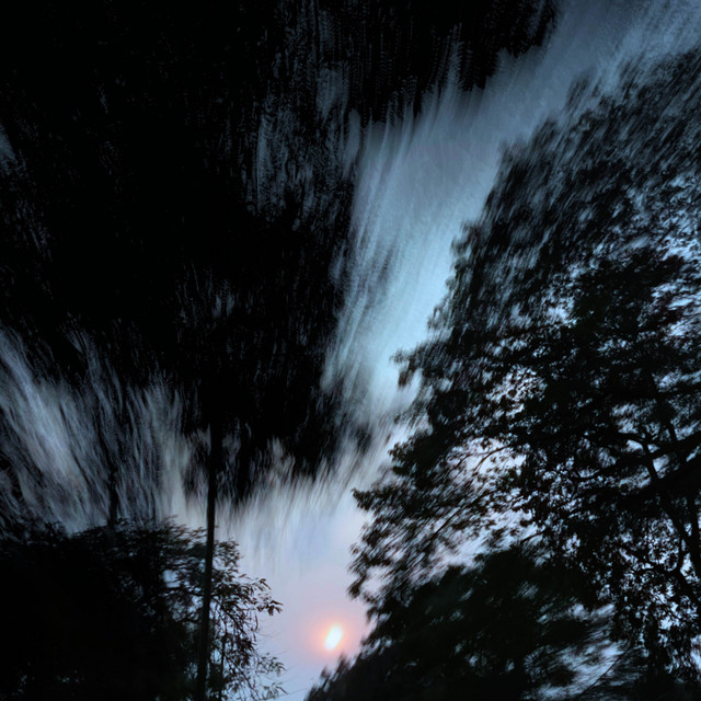 Viewpoint cover art