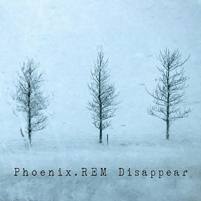Phoenix.REM - Something New