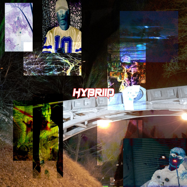 Hybriid cover art