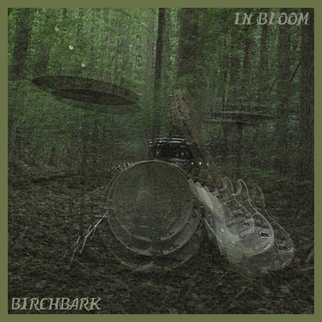 in bloom cover art