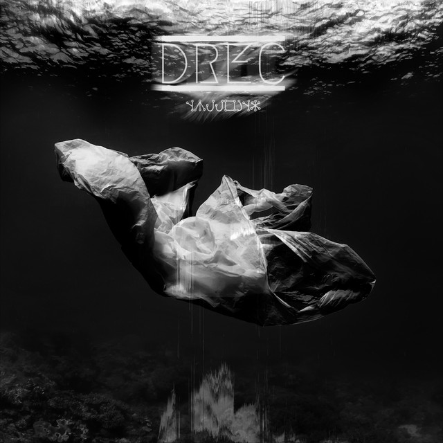 NUIIEINS cover art