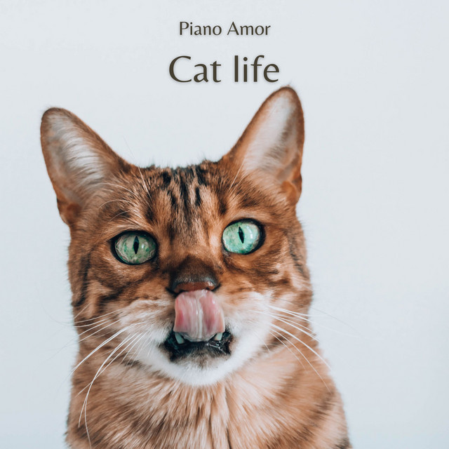 Обкладинка: Cat Life — Piano Amor
