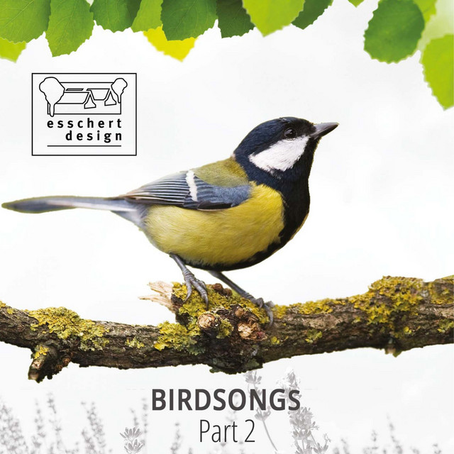 Birdsongs, Pt. 2 cover art
