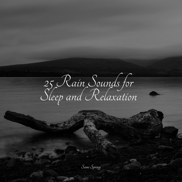 25 Rain Sounds for Sleep and Relaxation - Album by Masters of ...
