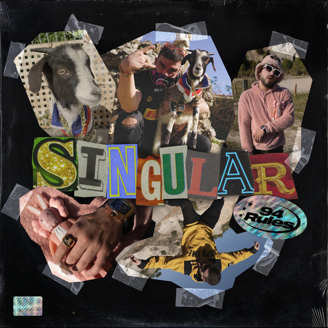 Singular cover art