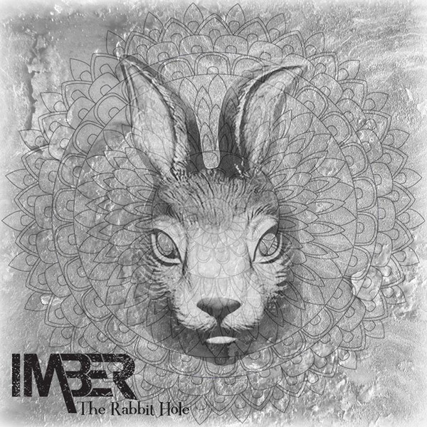 The Rabbit Hole - Single cover