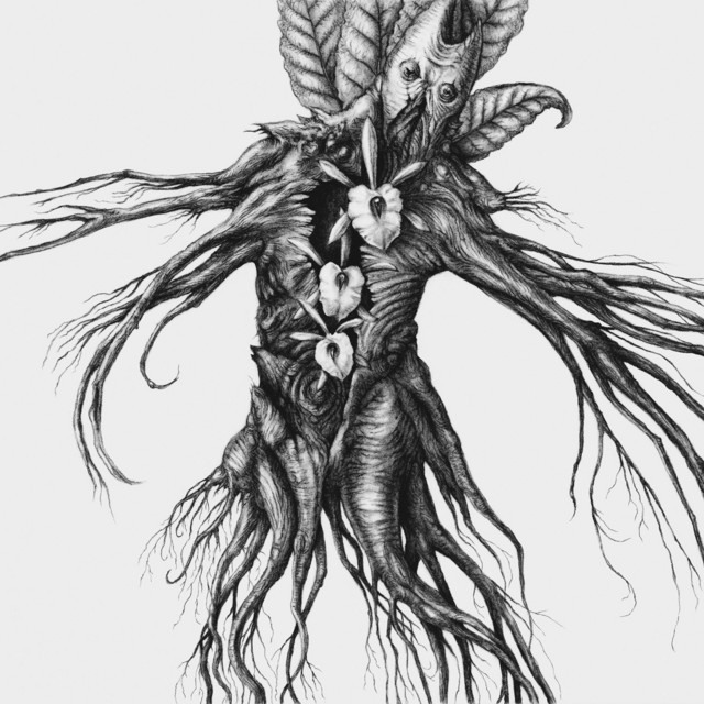 Iv: Mandragora cover art