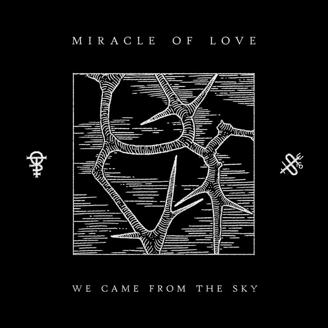 We Came from the Sky cover