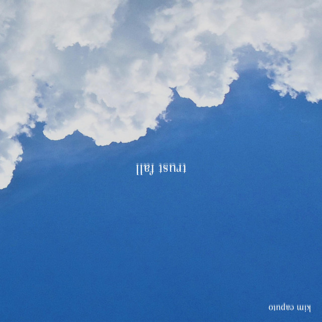 trust fall cover art