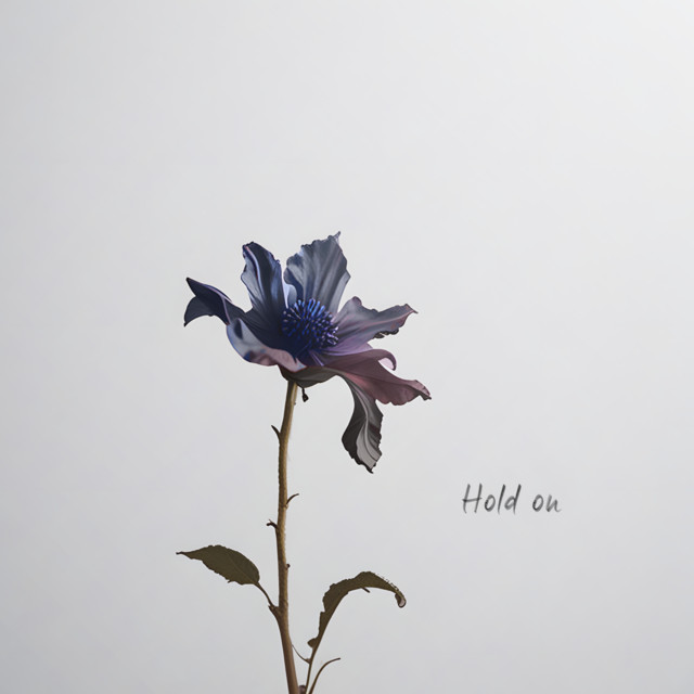 Обкладинка: Hold On — Wounded by You