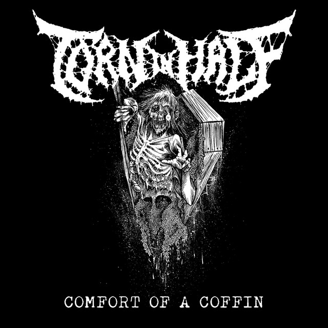 COMFORT OF A COFFIN cover