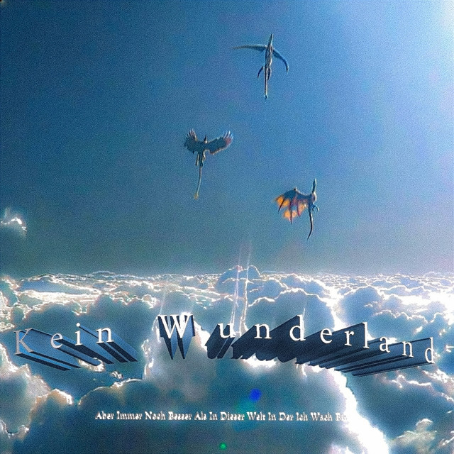 Kein Wunderland cover art