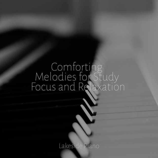 Comforting Melodies for Study Focus and Relaxation - Album by SD | Spotify