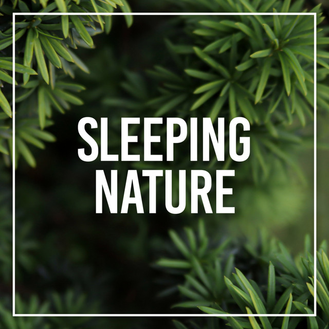 Sleeping Nature cover art