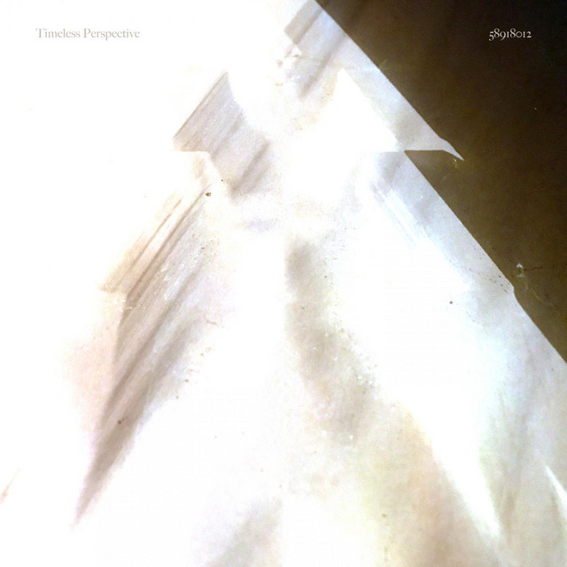 Timeless Perspective cover art