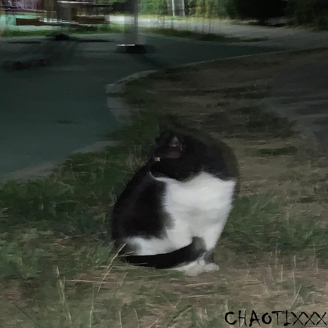 Обкладинка: Hopefully — CHAOTIXXX