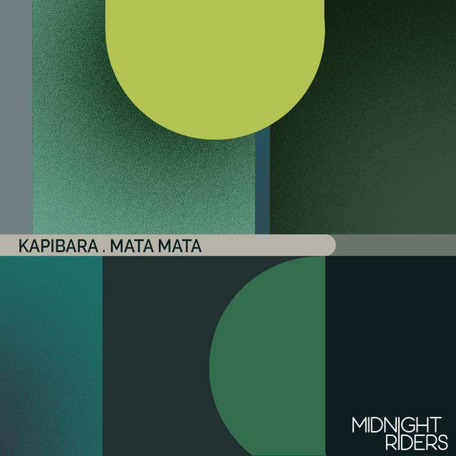Squatina album art
