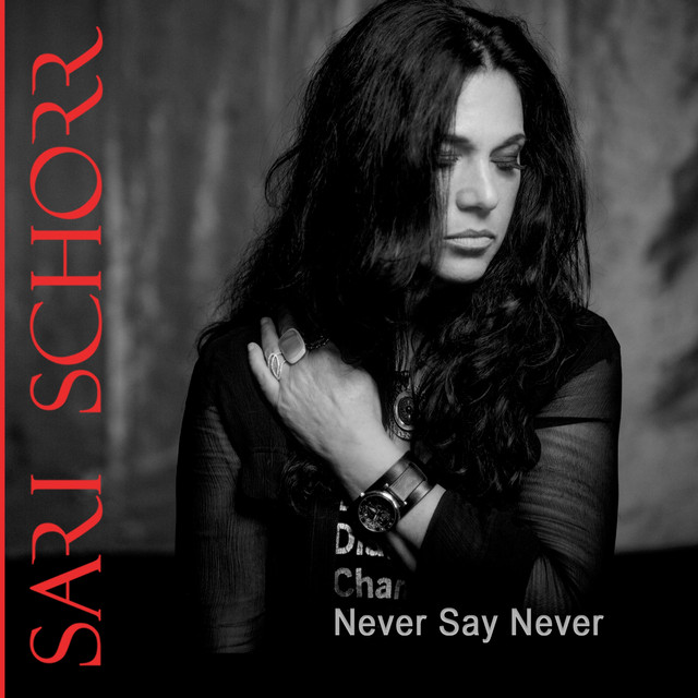 Never Say Never cover