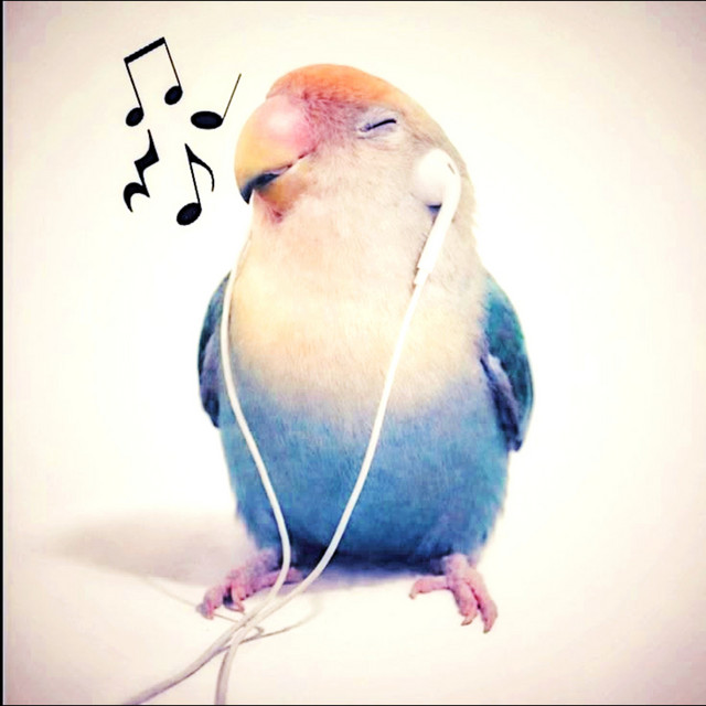 PAPUG SLUHA cover art