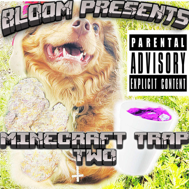 Minecraft Trap II cover art