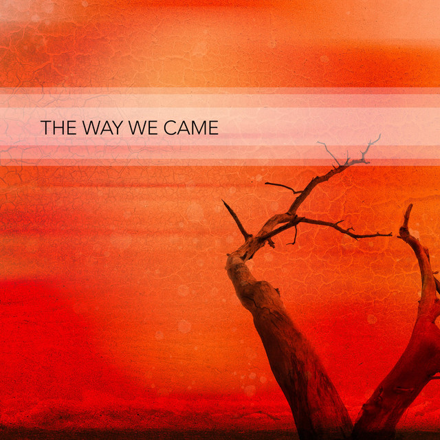 The Way We Came cover