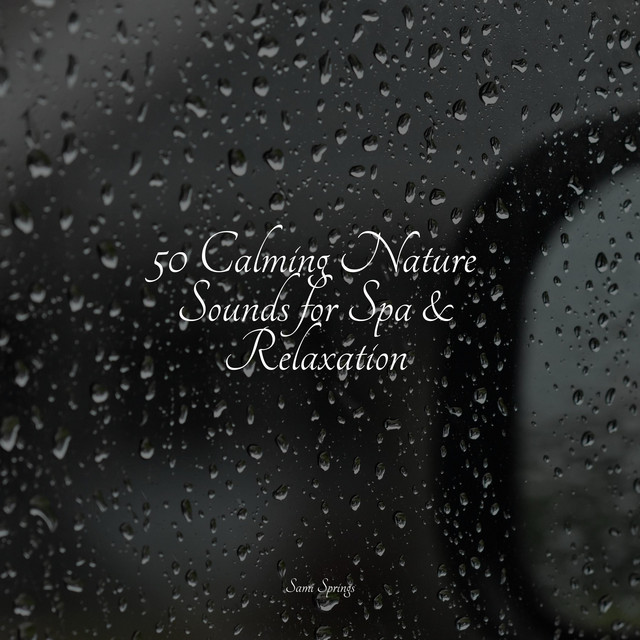 50 Calming Nature Sounds for Spa & Relaxation - Album by Meditação ...